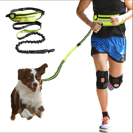 Adjustable Hands-Free Dog Leash with Bungee – Waist Belt for Large Dogs, Includes Phone Pocket & Bottle Holder